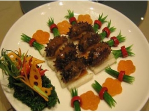 ���𺣲ε����� ���𺣲�����ô����