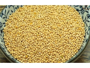 �׽���_�׽��ӵĹ�Ч|�÷�����