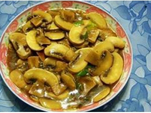 ��Ģ���Ƶ����� ��Թ���Ģ������