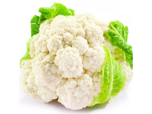 ����_���˵�ʳ�ƹ�Ч|���˵�������Ⱥ������