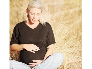 ����Ĺ�Ч������ ����Ӫ���ô���