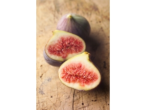 �޻����Ĳ��ع� ɽ�����վ��зֲ�