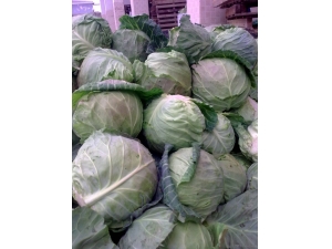 Ƣθ�麮��ʲô�� �⼸��ʳ��������Ч����