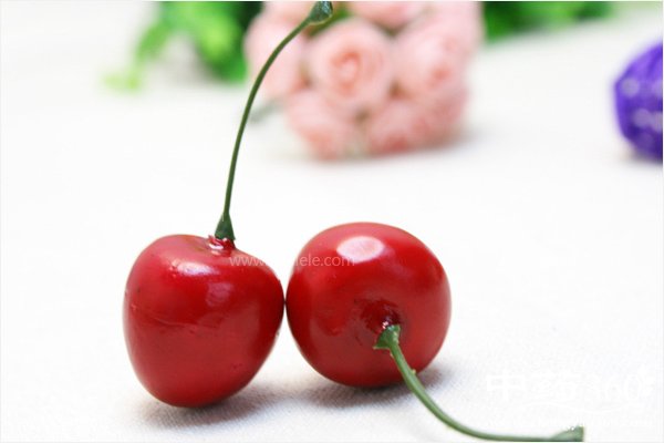 cheliziyingyangjiazhi