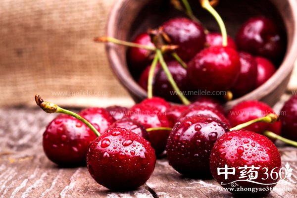 cheliziyingyangjiazhi