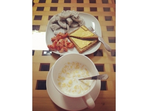 ��ͳ�ʲô����Ӫ�� ���Ӫ������������