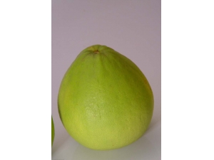 ������ʲô���ڳ���?ʳ�����ӵķ�������Щ