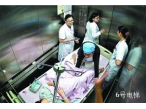 11������������Ѵ�̥�� ҽ�����������̥��