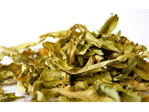 Ů����ҽʮ���´���ʧѪ ��Щҩ�˸�ǧ����ҳ�