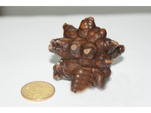 �棡������񻨰�һ���İ��׽�ʯ��