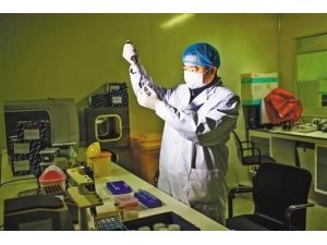 ����DNA��̽ ���ܺ��ߡ�����˵����