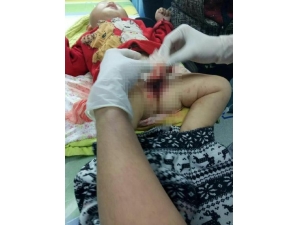 16���´���Ӥ����ҧ����ֳ�� ����η�����ҧ��