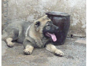 �ң�10���к����Լҹ�ҧ������촽