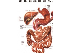 ����Ϊ�ٺ�2�������2֧�� 36���ȡ����о���