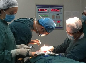 21�����������޴������¿�����б �������������