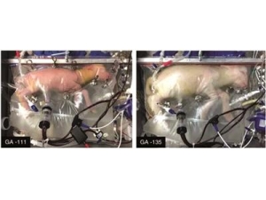 �������ӹ����ó�������������� �ҷ�������