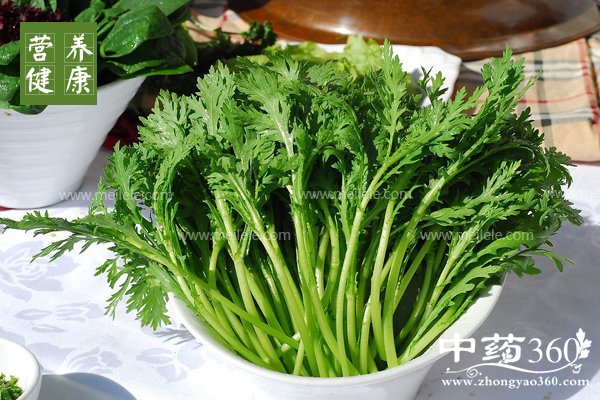 tonghaodeyingyangjiazhijigongxiao