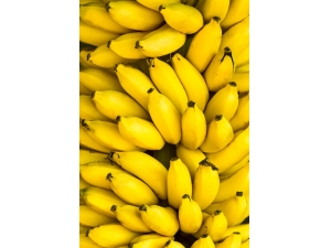 �Ž����㽶������ ���㼸�б��ķ���