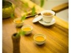 牛蒡茶的功效与作用 清热解毒又开胃