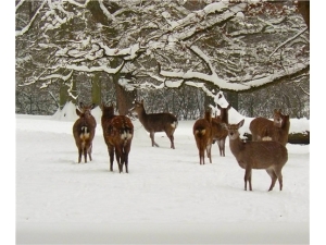 ¹��׳��Ч�� �⼸��������¹��