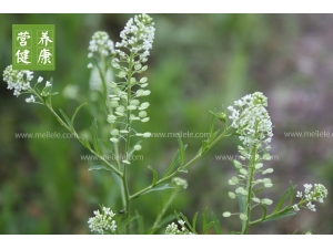 ���˵Ĺ�Ч������_���˵Ĺ�Ч��Ӫ����ֵ�Ƽ���