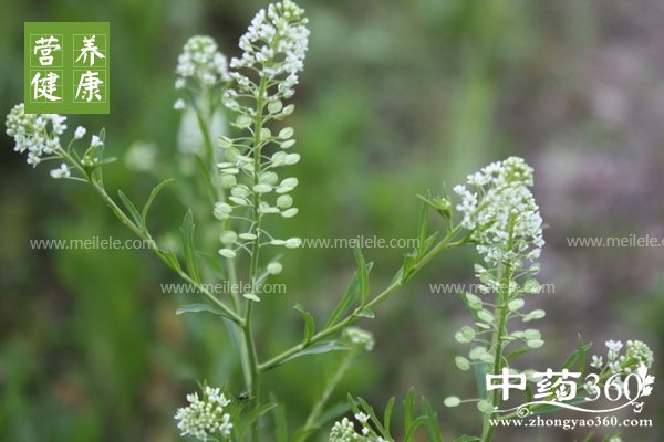 jicaidegongxiaoyuzuoyong