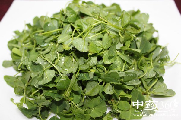 jicaidegongxiaoyuzuoyong