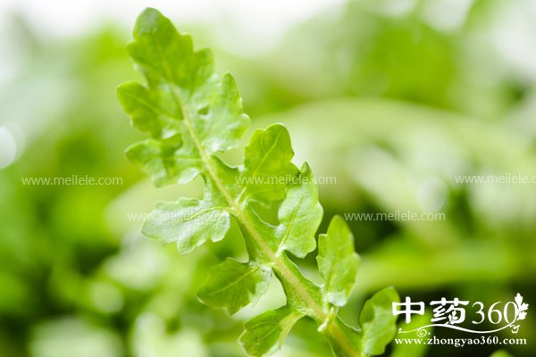 jicaidegongxiaoyuzuoyong