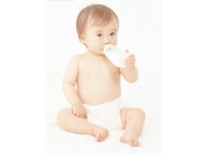 ������������ԭ�� ����������