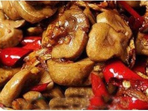 ��±ţ�������� ��±ţ���ó���