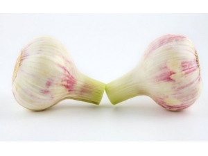 Ԥ��θ����6��ʳ�� ��Щ���׵ð�