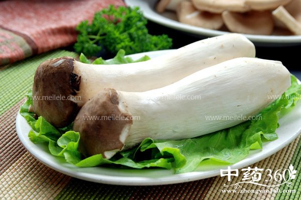 xingbaogudeyingyangjiazhi