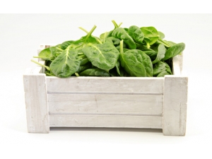 ������θ���� 11����θʳ���Ƽ�