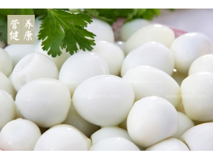 ���ӵ���Ӫ���ɷ�����Щ_���ӵ�Ӫ����ֵ���ܣ�