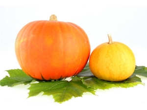 �Ϲ��ܡ����������ļ�������������Ϲ�