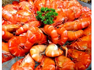 ����ɳϺ��Թ��� ����ɳϺ������