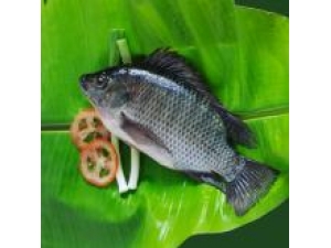 �޷���Ĺ�Ч������ �޷����ʳ�÷���