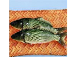 ����Ĺ�Ч������ �����ʳ�÷���