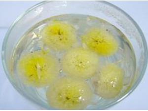 ����Ұ�ջ���Թ��� ����Ұ�ջ�������