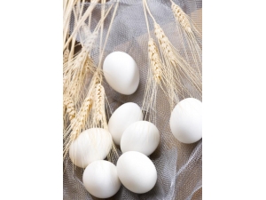 ��ʲô��׳���� ����ʳ��׳������Ч