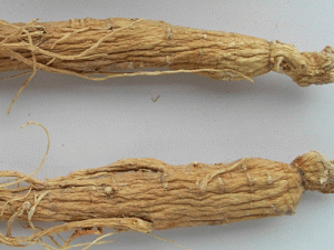 ʳ���˲�����Щ���� �����ȷ��ʳ���˲�