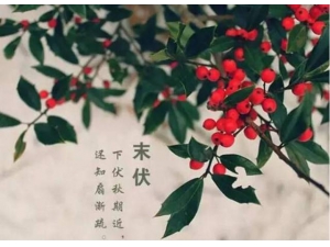 ĩ������Ҫ�����ʮ�༲�� ��Ҳ��������