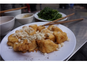 Ѭ�ɵĹ�Ч������ ����Ӫ����Ч��