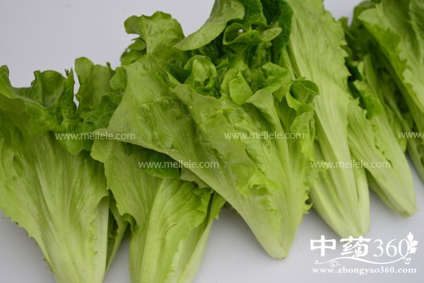 shengcaideyingyangjiazhijigongxiao