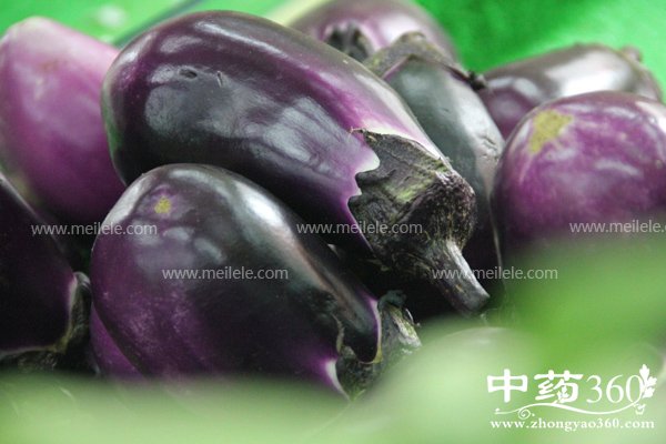 qiezideyingyangjiazhijigongxiao