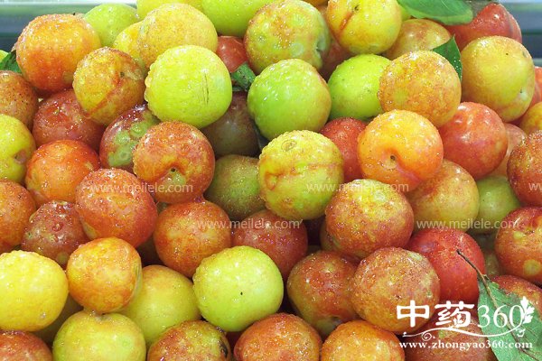 lizideyingyangjiazhijigongxiao