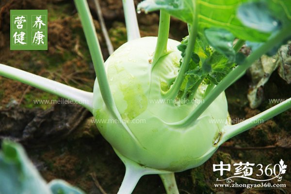 pielandeyingyangjiazhijishiyong