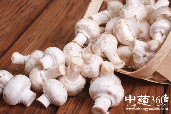 xidegongxiaoyuzuoyong