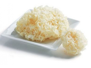 ����������ô�� ��θ�������ʪ