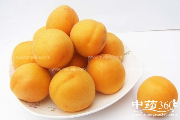 chixingyoushenmehaochu